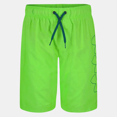 UA DWR Print Boys' Volley Shorts