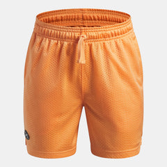 UA Icon Mesh Boys' Shorts